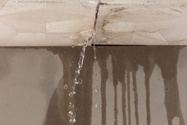 Professional Burst Pipe Cleanup technician working in Newport, TN
